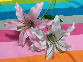 怎么做皱纹纸百合花 简单手工制作六瓣百合